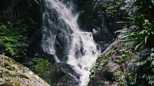 Waterfall in Lamington National Park in Queensland, Australia. photo