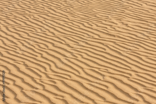 Sand texture.Dented wave of the blow of the wind.