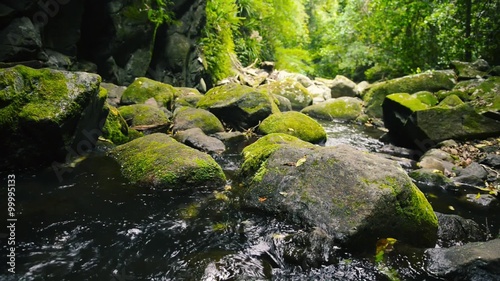 Waterfall in Lamington National Park in Queensland, Australia. photo