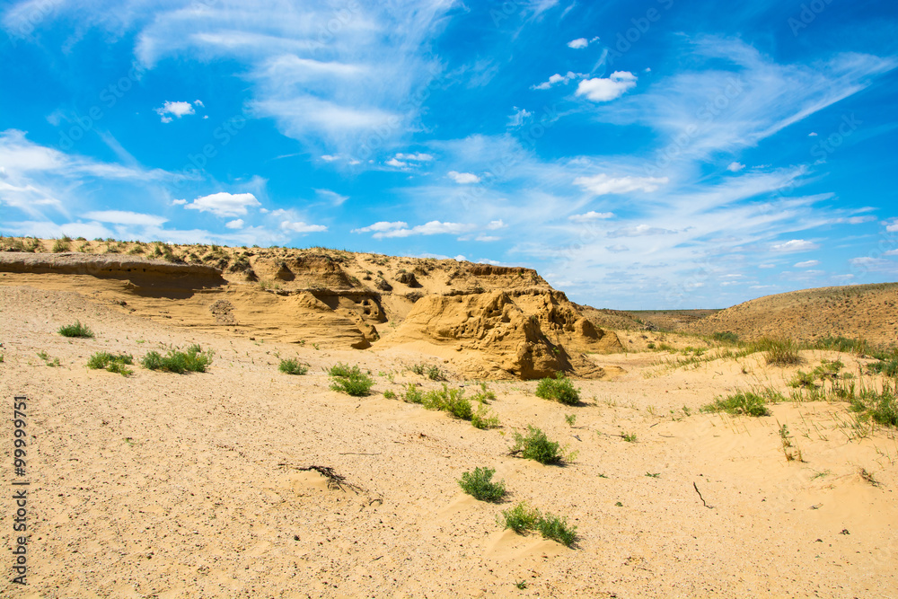 Desert landscape on a summer day.