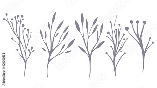 Vector set of delicate leaves and herbs for your creativity