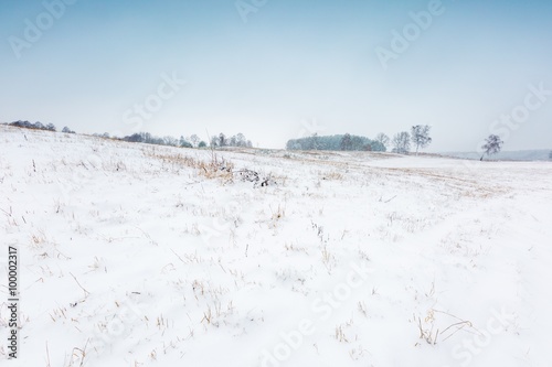Winter field under cloudy gray sky © milosz_g