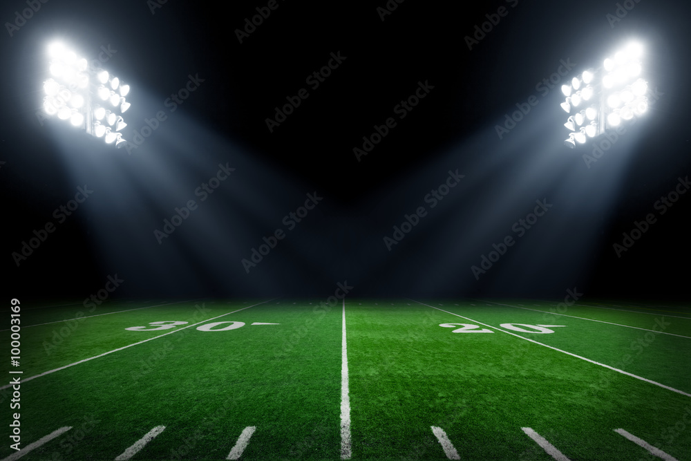 Fototapeta Boisko piłkarskie oświetlone przez światła stadionu