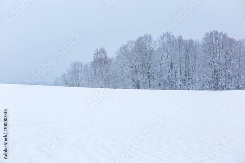 Winter field under cloudy gray sky © milosz_g