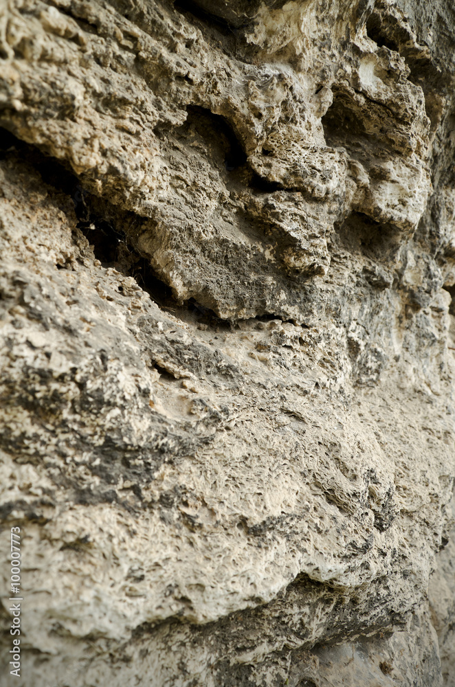 Limestone — sedimentary rock of organic origin