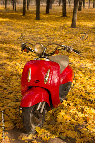 Red Retro motorcycle on a background autumn forest.  photo