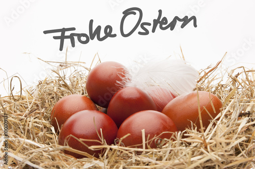 Frohe Ostern mit Naturgefärbten Ostereiern