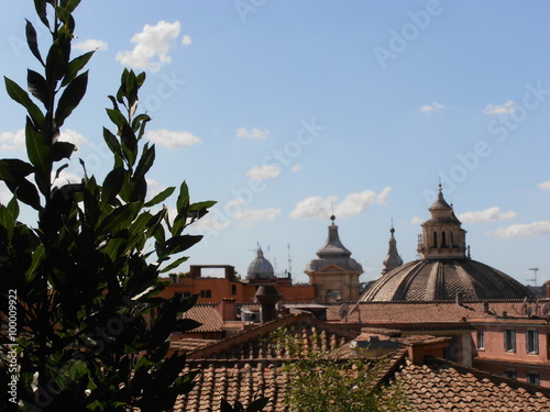 Skyline in mezzo al verde photo