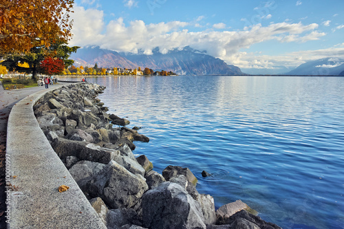 Bild auf Leinwand autumn tree in embankment of town of Vevey and Lake Geneva, canton of Vaud, Swit