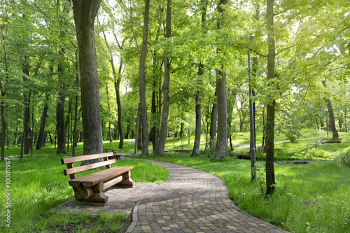 Fototapeta Naklejka Na Ścianę i Meble -  Bench in a beautiful summer park