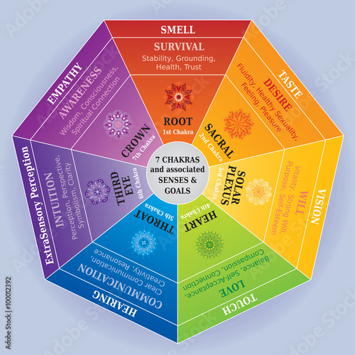 Roue des 7 Chakras en Couleur avec Correspondance Mandalas, Sens et Objectifs / Sutras en Anglais