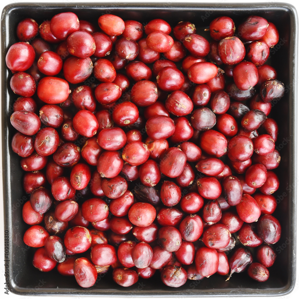 Obraz premium Fresh coffee beans in ceramic bowls.