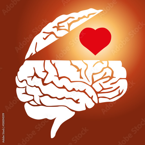 Cerveau - Coeur