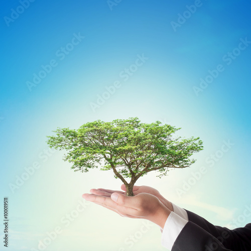 Businessman hand holding big tree with blue sky ,Corporate Socia