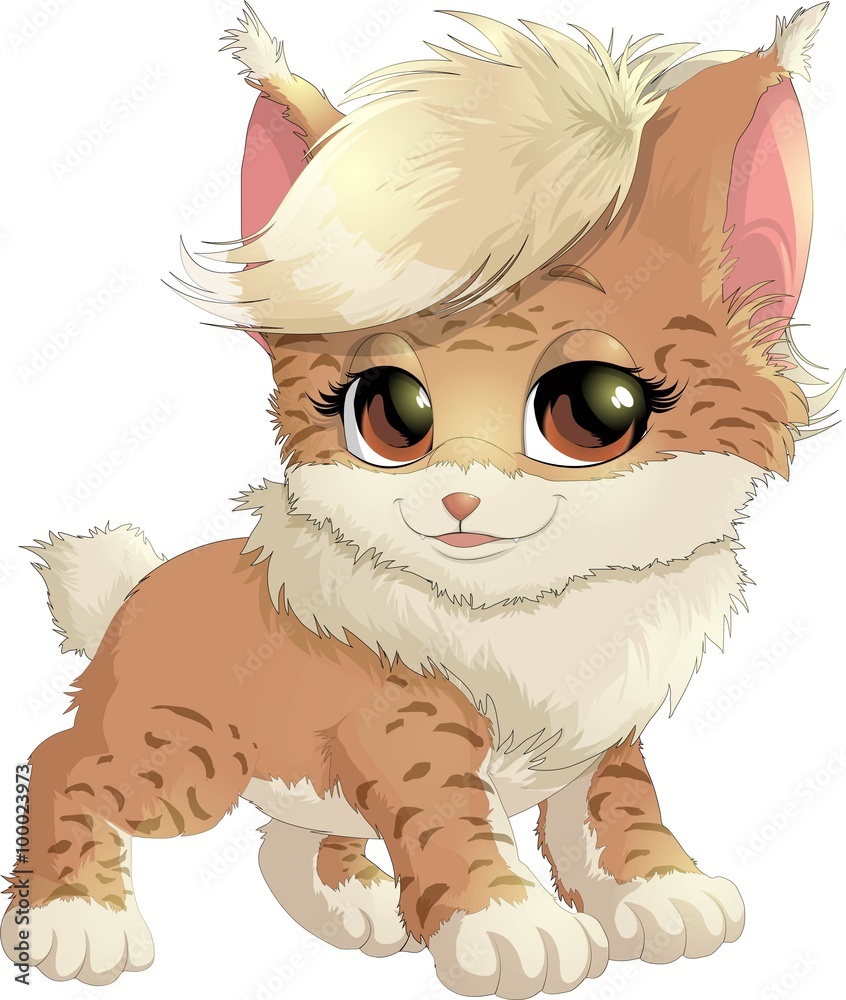 Fototapeta premium beautiful lynx on a white background