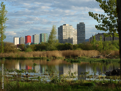 Salburua - Vitoria - 11