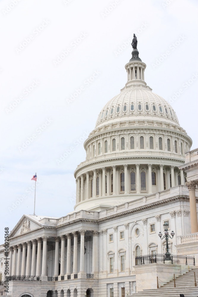Fototapeta premium Capitol in Washington DC
