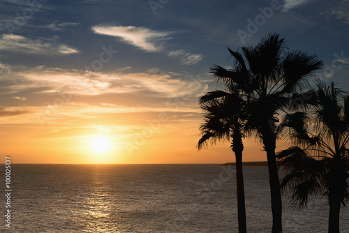 Beautiful sunset on the beach with palm tree