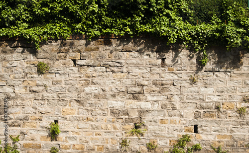 Old stone wall with vegetation