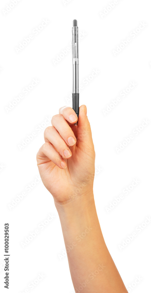 Female hand holding pen as pointer on white Female hand holding pen as pointer on white