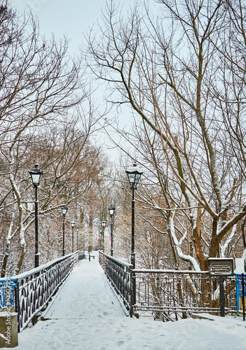 winter city park in morning