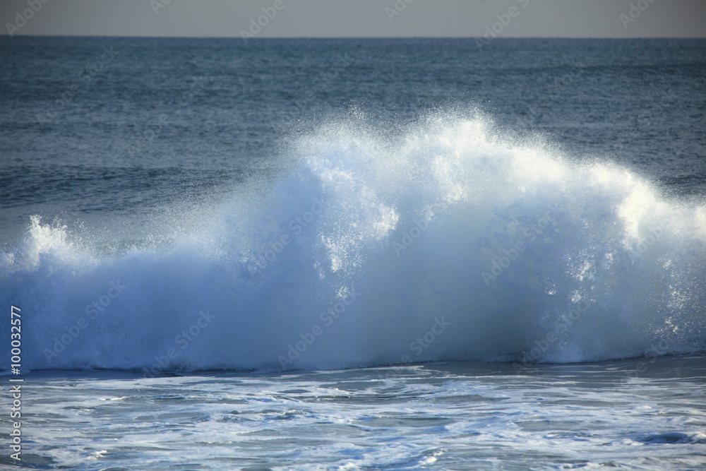 Fototapeta premium wave