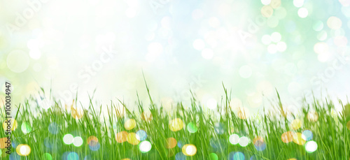 spring