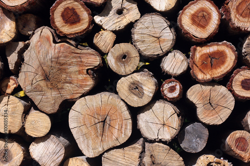 natural wooden logs background, top view