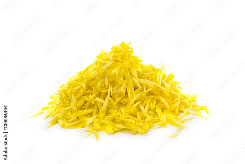 食用菊
食用菊