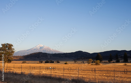 Mount Rainier and field
