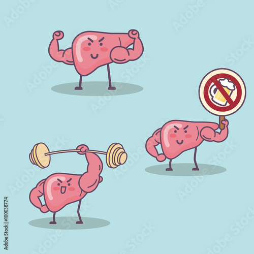 health liver