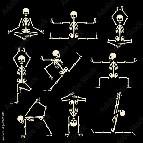 Kung fu and yoga skeletons set. Human pose anatomy, body comic, healthy fitness, vector illustration
