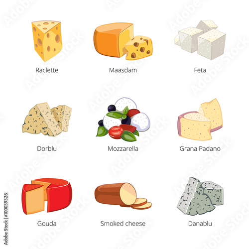 Various types of cheese in cartoon vector style. Mozzarella and raclette, maasdam and feta, dorblu and grano padano, danablu illustration