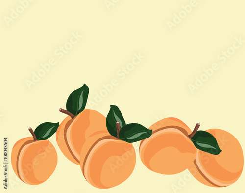 Peach fruits. Vector