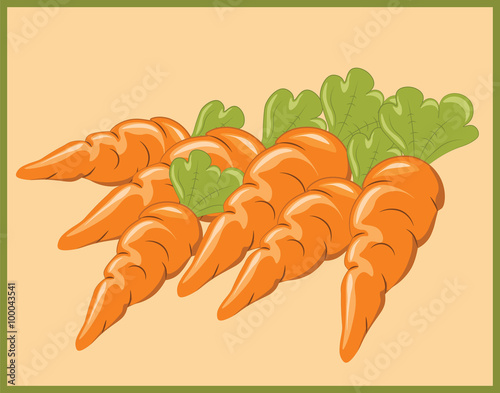 Bunch of Carrots. Vector 