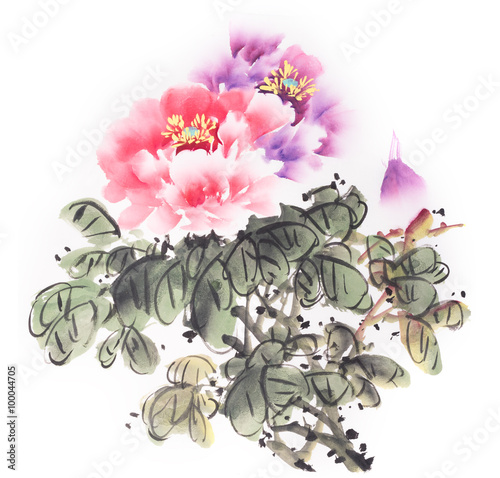 peony flower,Traditional chinese ink and wash painting