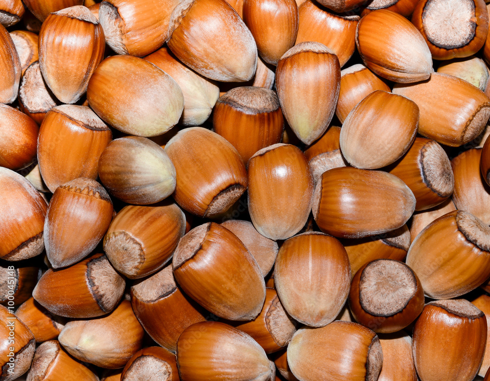 hazelnuts in the background hazelnuts in the background