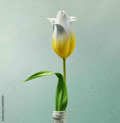 Wallpaper Mural yellow, tulip , blue , background  Torontodigital.ca