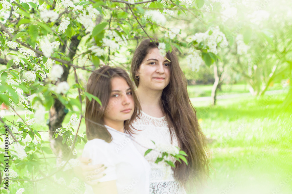 Two beautiful girlfriends walk in the park and posing
Two beautiful girlfriends walk in the park and posing