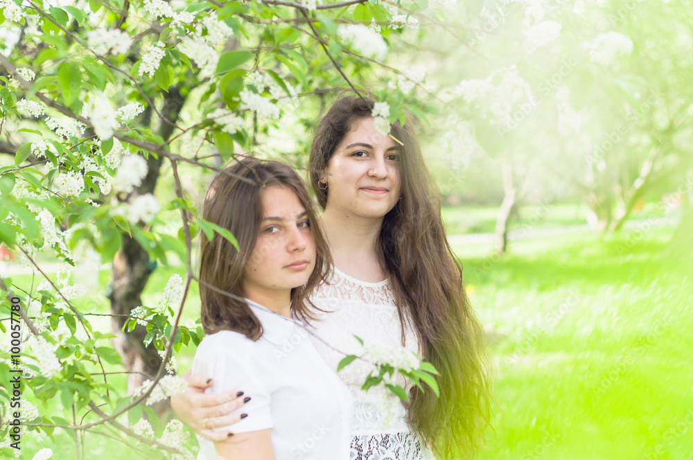 Two beautiful girlfriends walk in the park and posing
Two beautiful girlfriends walk in the park and posing