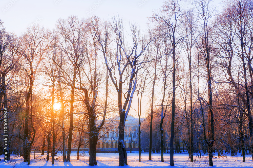Mikhailovsky Garden in St. Petersburg. winter sunrise Mikhailovsky Garden in St. Petersburg. winter sunrise
