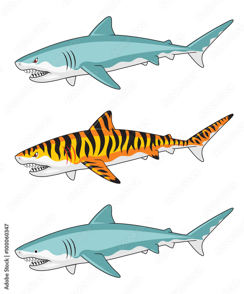 Obraz premium Three versions of a shark illustration