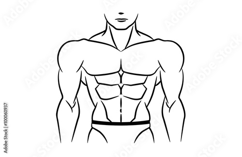 Perfect abdominal muscles is six pack of bodybuilder. This illustration in linear style on isolated.