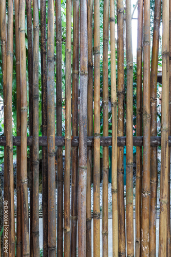 bamboo fence