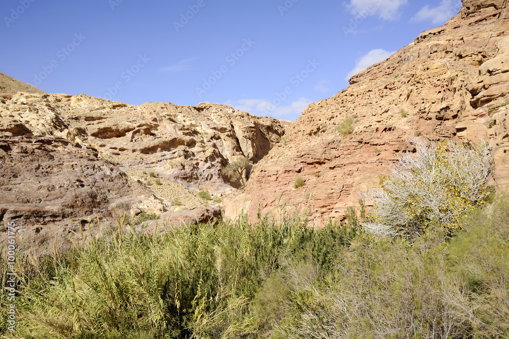 Desert mountain landscape in Jordan desert at spring.