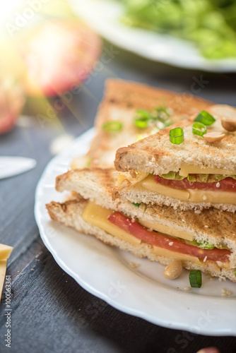 Cheese sandwich photo
