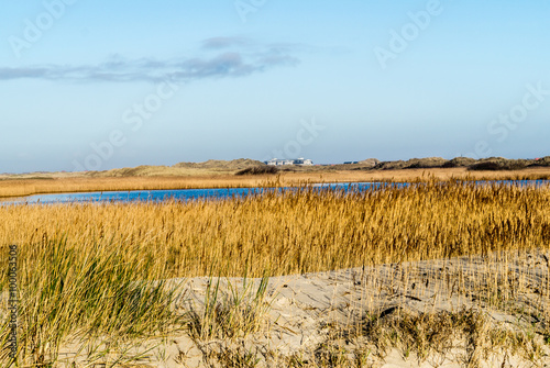 Nordseedünen © Animaflora PicsStock