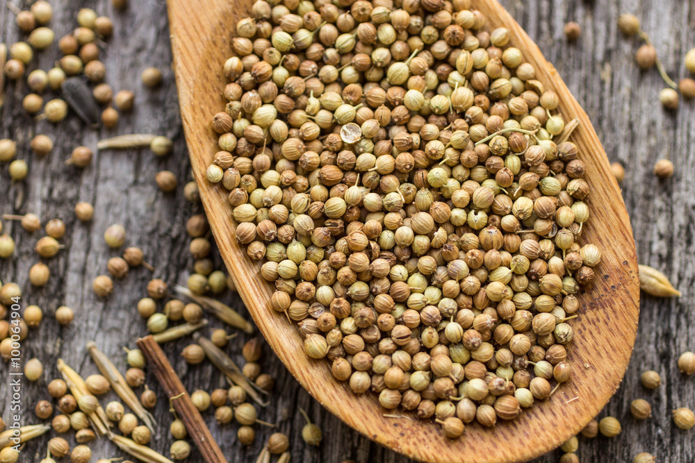 Dried coriander seeds in wooden spoon on old wooden table Dried coriander seeds in wooden spoon on old wooden table