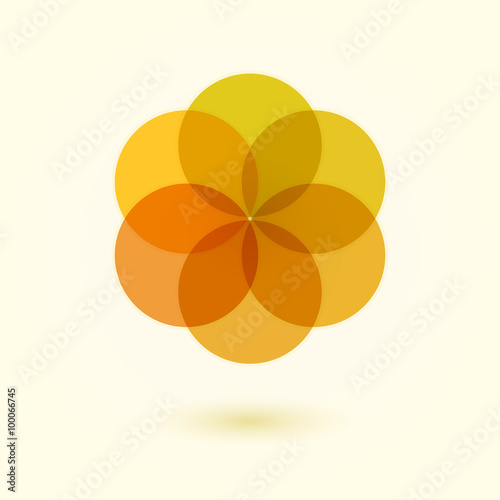 Flower of Life.Vector illustration