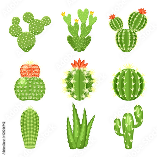Vector icon set of colored cactus and succulent